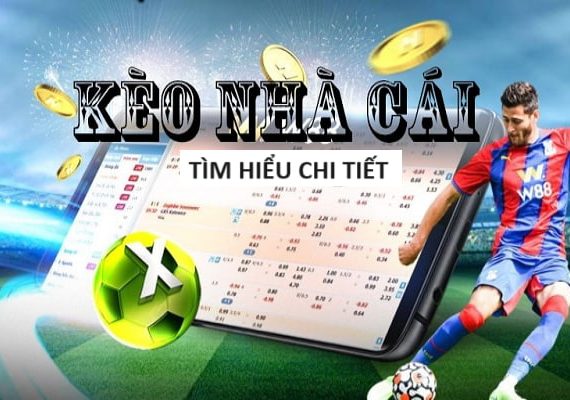 thống kê xổ số miền bắc theo tuần năm